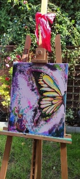 Obraz" motyl kolorowy"