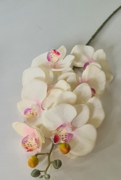 Storczyk Orchidea Silikonowy jak Żywy 90cm Kremowo  Rożowy