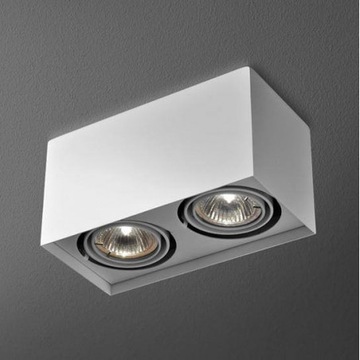 Lampa AQform Aquaform Spot 50x2 silver