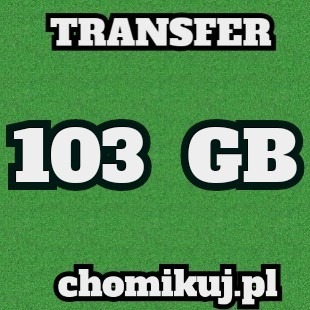 Transfer 103 GB na chomikuj Bezterminowo