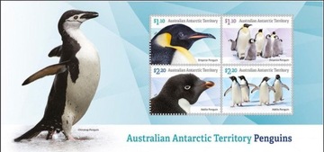 Pingwiny - AAT 2022