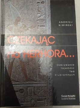 Czekając na Herhora... - Andrzej Niwiński 