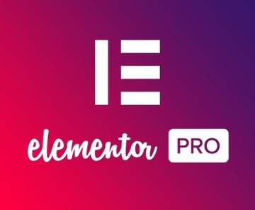 Elementor Pro +bonusy