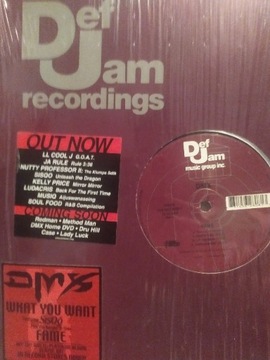 DMX What You Want / Fame single winyl '12 