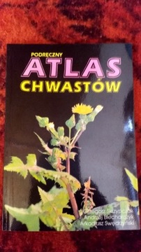 Atlas chwstów