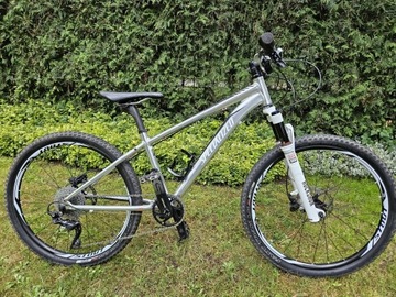 Specialized, niepowtarzalny , wersja limitowana