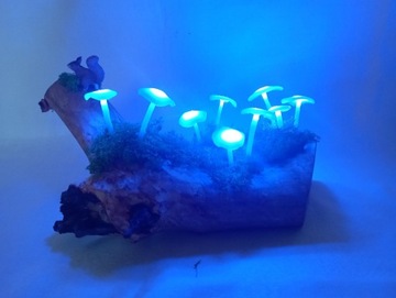Lampka nocna świecące grzyby