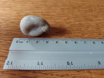 Menilite Opal Mineral górski 4 cm Kamień Kolekcja