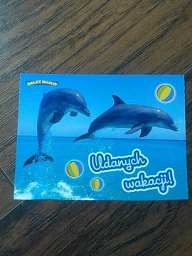 Pocztówka obrazek cute słodki delfiny dolphins