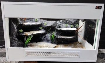 Terrarium dla gekona jaszczurki 80x50x50 