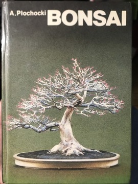 Bonsai - sztuka miniaturyzacji drzew i krzewów.