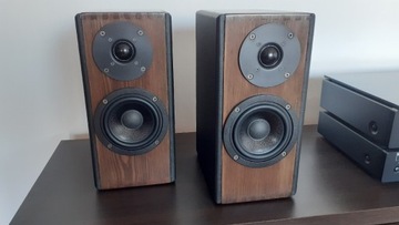 Kolumny monitory DIY STX 