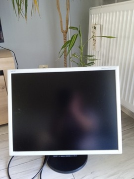 Monitor NEC 21cali