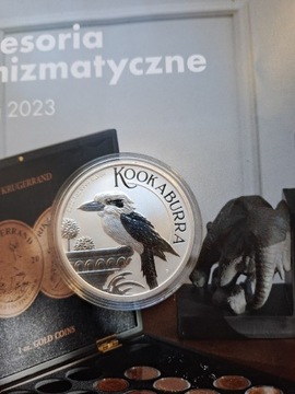 Kookaburra 2022 srebro