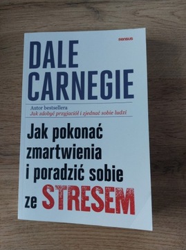 D. Carnegie Jak pokonać zmartwienia ...