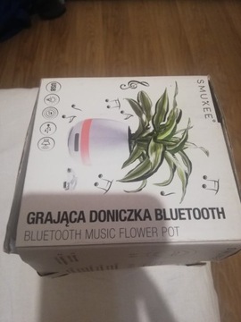 Grająca doniczka bluetooth