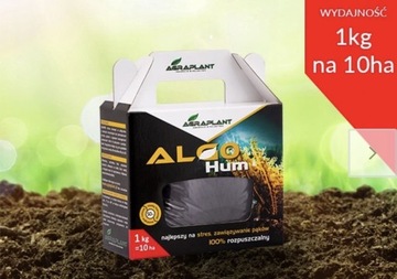 AlgoHum 