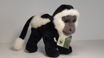 Małpka Gereza Oryginalna małpa monkey WWF