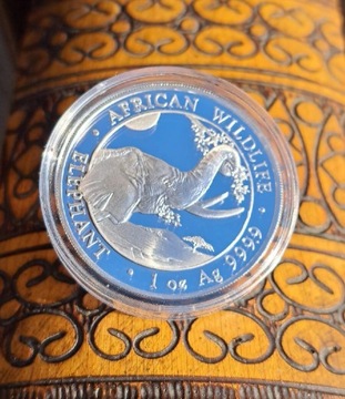 Srebrna moneta Słoń Somalijski 2023