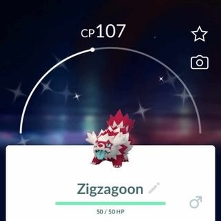 Pokemon go Shiny Alolan Zigzagoon