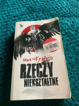 Książka fabryka słów Rzeczy niekształtne 