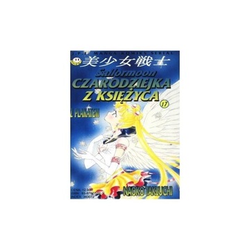 Czarodziejka z Księżyca 17 manga, Sailor moon