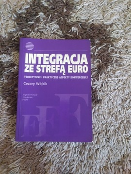 Cezary Wójcik  Integracja ze strefą euro 