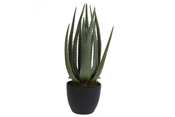 Sztuczny Aloes w donicy 45 cm