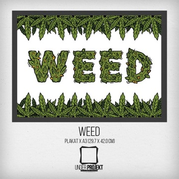 Plakat WEED (ganja marihuana) - rozmiar a3