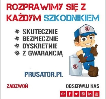 Dezynsekcja w Warszawie Deratyzacja Ozonowanie