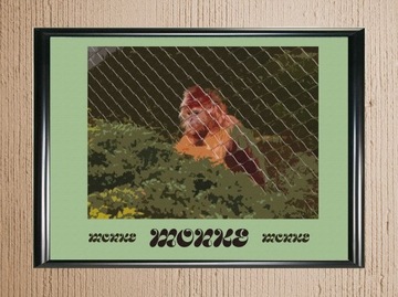 Plakat małpy handmade