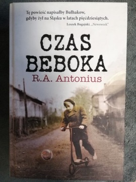 czas beboka 