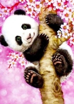 Malowanie po numerach Ipicasso Urocza Panda