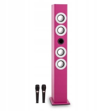 Karaoke głośnik BT USB MP3 SD