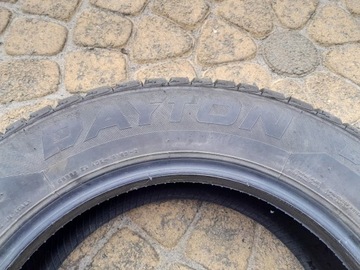 DAYTON DW510 EVO 195/65R15 91T