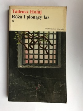 Róża i płonący las Hołuj tom 1