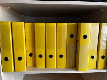 Segregator na dokumenty A4 50mm żółty ESSELTE