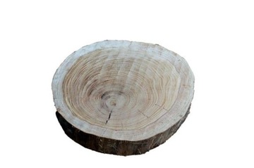 Plaster drewna dąb brzoza