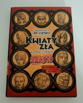 Naruto - Akatsuki, Tajemna Historia Brzasku novel