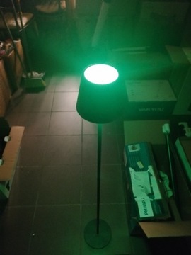 Lampa stojąca LED Power beauty