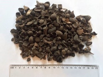 Biomasa PKS - Palm Kernel Shell - Łupina olejowca