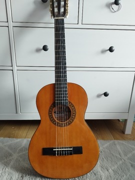 Gitara akustyczna Stagg SSA20DSNB