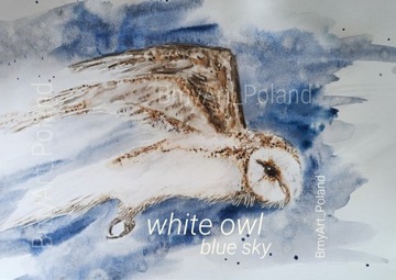 white owl  blue sky SOWA  60x40 fotoobraz