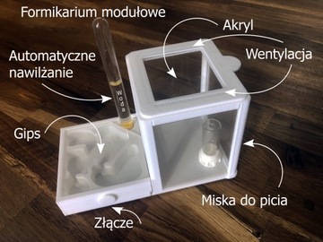 Formicarium (formikarium) modułowe dla mrówek