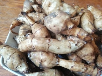 MEDYCYNA NATURALNA, CUKRZYCA, TOPINAMBUR DUŻY 1KG 