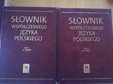 Słownik języka polskiego 