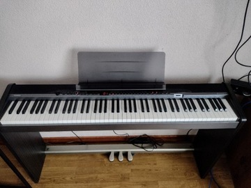 Casio Privia PX- 320 STAN BARDZO 