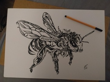 Rysunek, pszczoła miodna, cien. - blok t. A3 250 g