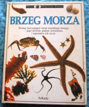 Brzeg morza - Steve Parker