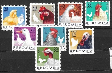 Rumunia, drób domowy, 1963r, 